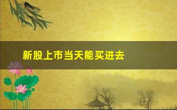 “新股上市当天能买进去吗(新股上市当天怎么买入)”/