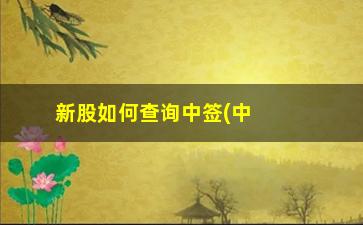 “新股如何查询中签(中签新股怎么查询)”/