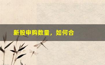 “新股申购数量，如何合理控制新股申购数量”/