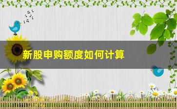 “新股申购额度如何计算（详解新股申购额度计算方法）”/