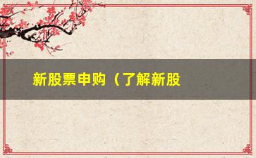 “新股票申购（了解新股申购的流程和注意事项）”/