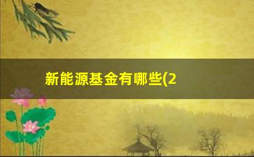 “新能源基金有哪些(2023年新能源还会涨吗)”/