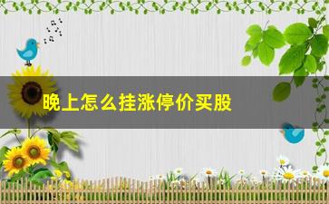 “晚上怎么挂涨停价买股票(股票晚上挂涨停的会优先成交吗)”/