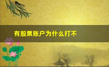 “有股票账户为什么打不了新(股票账户为什么不能买st)”/