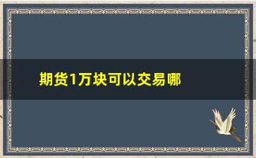 “期货1万块可以交易哪些基金(国内期货基金有哪些)”/