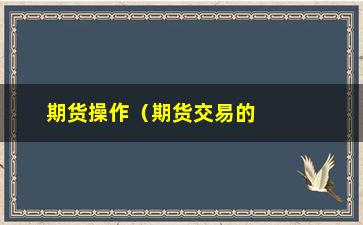 “期货操作（期货交易的操作技巧和注意事项）”/