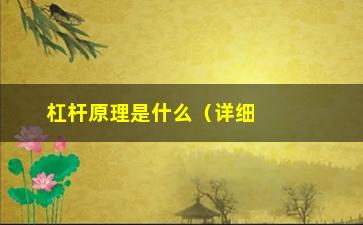 “杠杆原理是什么（详细介绍杠杆原理及应用场景）”/