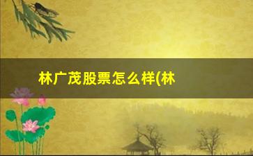 “林广茂股票怎么样(林广茂股票怎么样知乎)”/