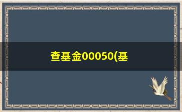 “查基金00050(基金00060)”/