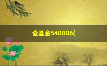 “查基金540006(查基金540008)”/