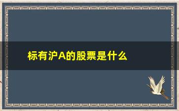 “标有沪A的股票是什么意思(沪hk股票是什么意思)”/