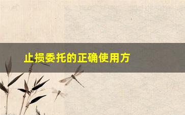 “止损委托的正确使用方法（从此不再因为波动而烦恼）”/