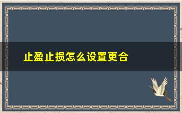 “止盈止损怎么设置更合理”/