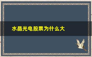 “水晶光电股票为什么大跌(水晶光电股票股吧)”/