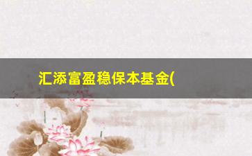 “汇添富盈稳保本基金(汇添富盈稳保本基金怎么样)”/