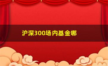 “沪深300场内基金哪只好(场内沪深300指数基金)”/