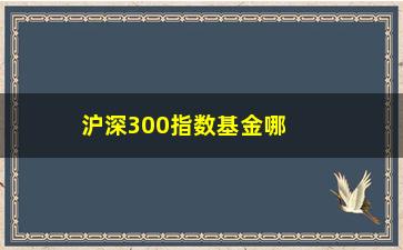 “沪深300指数基金哪家强(哪个沪深300指数基金好)”/