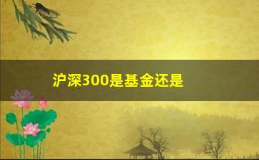 “沪深300是基金还是股票(沪深300是指什么)”/