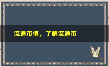 “流通市值，了解流通市值的定义及计算方法”/