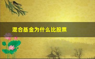 “混合基金为什么比股票基金跌的还多”/