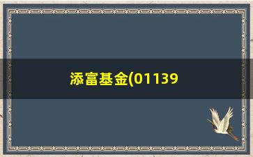 “添富基金(011399汇添富基金)”/