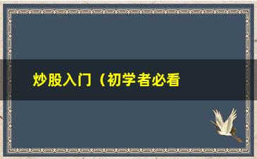 “炒股入门（初学者必看的炒股指南）”/