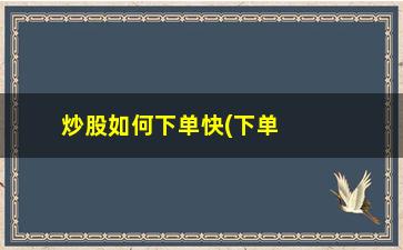 “炒股如何下单快(下单炒股违法吗)”/