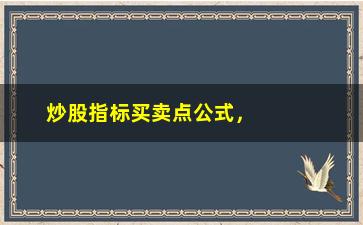 “炒股指标买卖点公式，详解股市技巧与操作”/