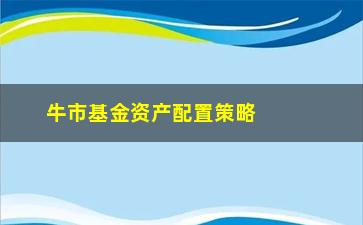 “牛市基金资产配置策略(买股票还是买基金好)”/