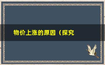 “物价上涨的原因（探究背后的经济机制和影响因素）”/