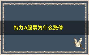 “特力a股票为什么涨停(股票涨停了为什么还会跌)”/