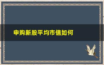 “申购新股平均市值如何计算(申购新股持仓市值是怎么计算的)”/