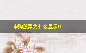 “申购股票为什么显示0(为什么申购不了新股票)”/