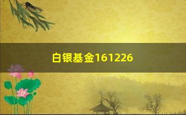 “白银基金161226的估值怎么看(白银161226基金实时)”/