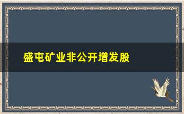 “盛屯矿业非公开增发股价(盛屯矿业的估值和前景)”/