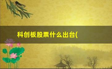 “科创板股票什么出台(科创板股票开头代码)”/