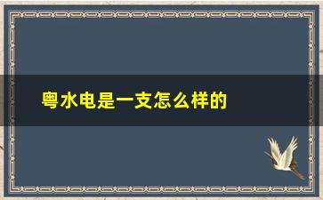 “粤水电是一支怎么样的股票(粤水电是电力股吗)”/