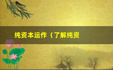 “纯资本运作（了解纯资本运作的优劣和适用情况）”/