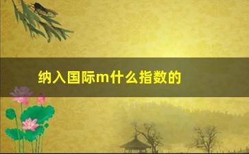 “纳入国际m什么指数的股票是哪些(股票被纳入指数有什么后果)”/