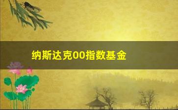 “纳斯达克00指数基金(纳斯达克00指数基金哪家好)”/