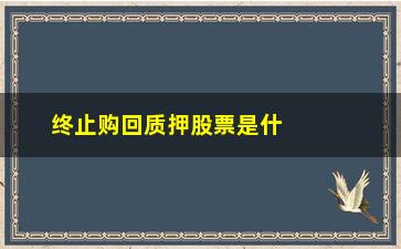 “终止购回质押股票是什么意思(股票质押到期终止购回)”/