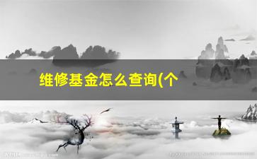 “维修基金怎么查询(个人维修基金怎么查)”/