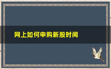 “网上如何申购新股时间(网上申购新股的交易规则)”/