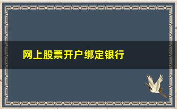 “网上股票开户绑定银行卡密码是什么意思”/