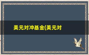 “美元对冲基金(美元对冲基金是什么意思)”/