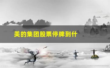 “美的集团股票停牌到什么时候(美的集团股票今年什么时候分红)”/