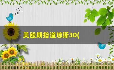 “美股期指道琼斯30(道琼斯指数30期货指数实时行情)”/