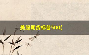 “美股期货标普500(标普500指数市盈率查询)”/