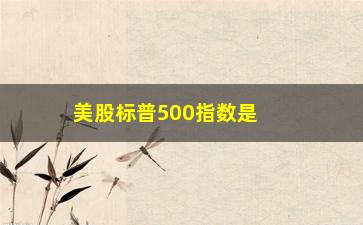 “美股标普500指数是什么意思(美股标普500指数是什么意思啊)”/