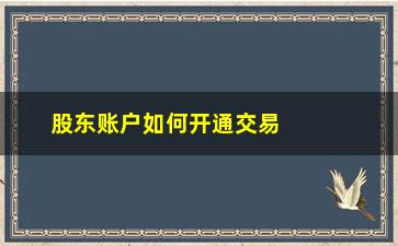 “股东账户如何开通交易(所选股东账户无法交易该股票)”/